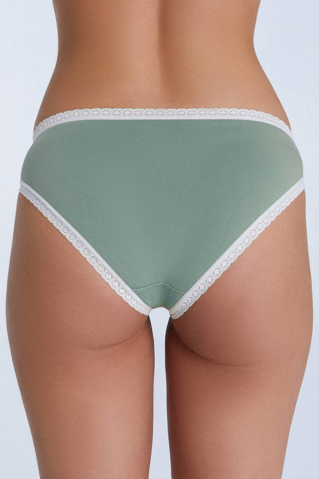 Women's briefs with lace detailing, made from organic cotton, shown on a white background. Stylish and eco-friendly lingerie from True North 1111-109
