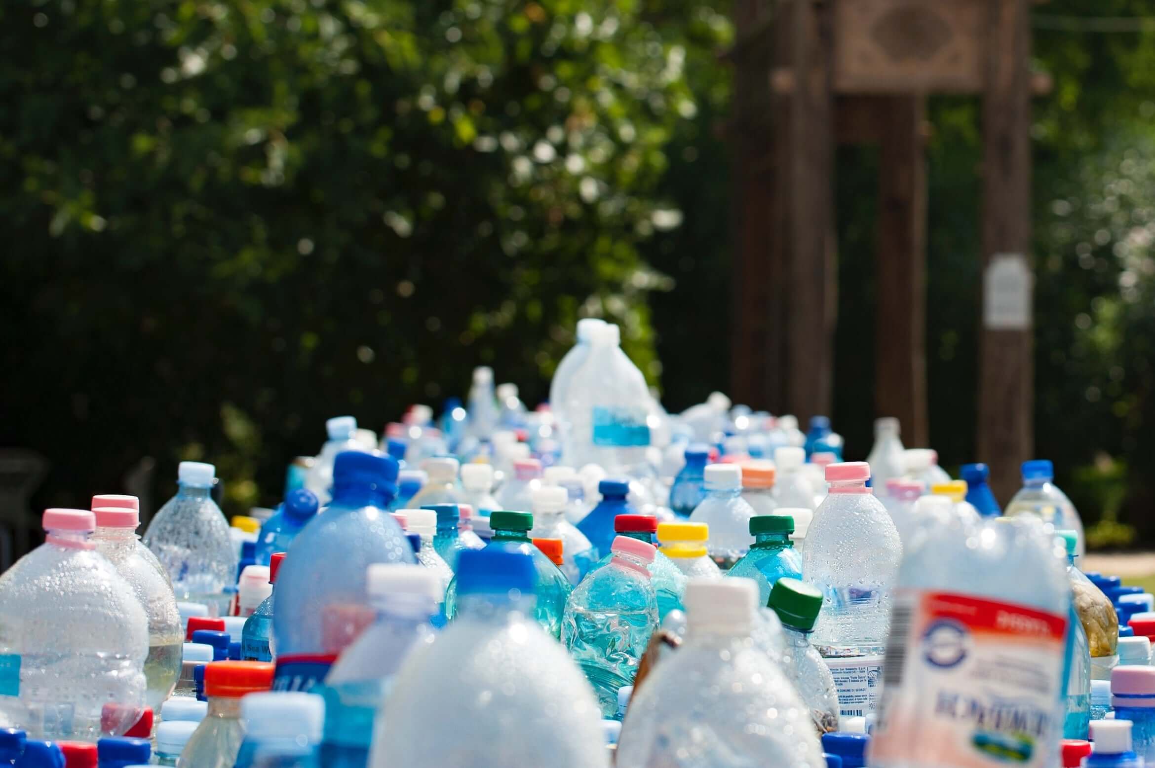 Plastic bottles.