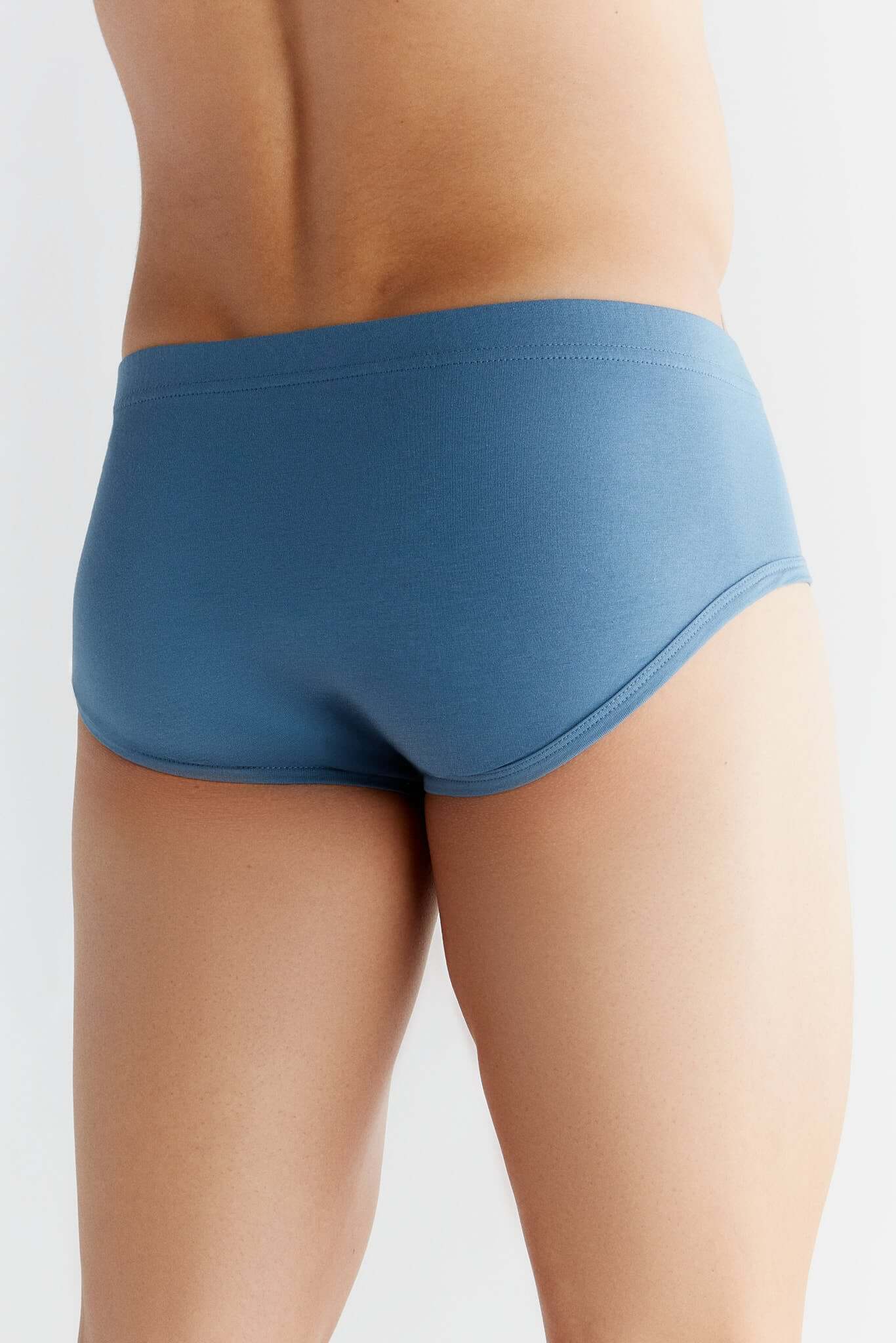 Organic Cotton Mens Slip Brief 2112-01