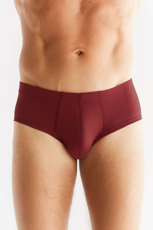 Organic Cotton Mens Slip Brief 2112-030