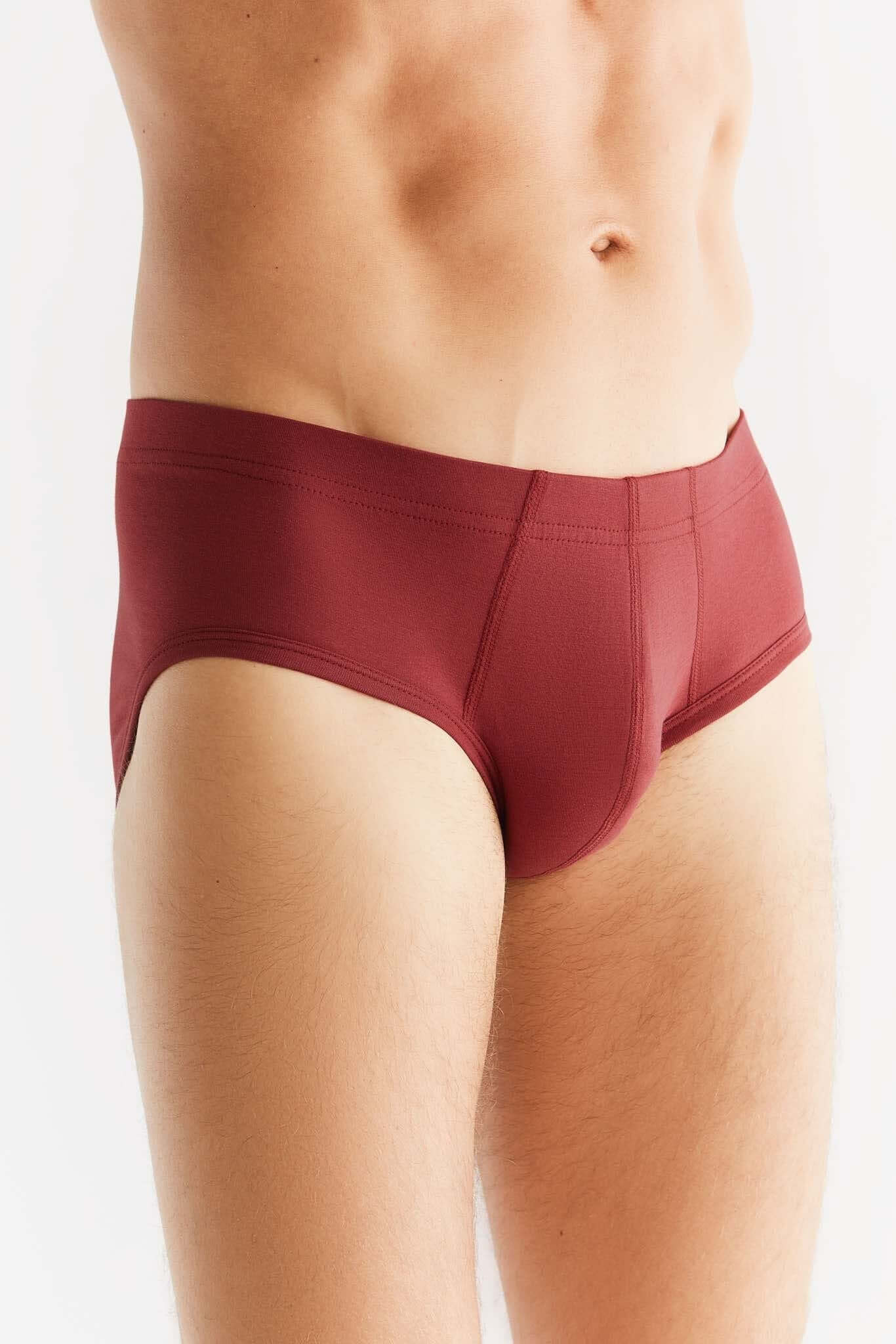 Organic Cotton Mens Slip Brief 2112-030