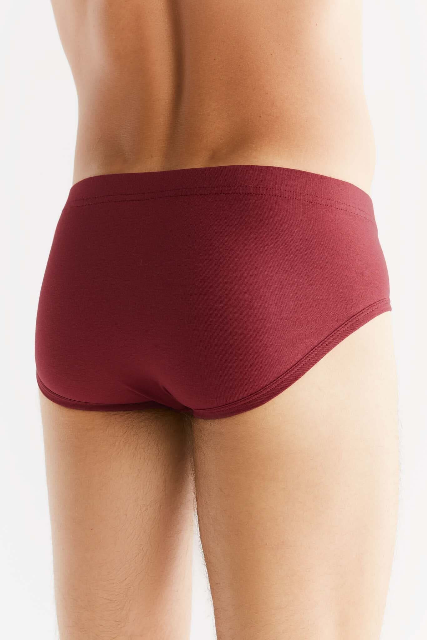 Organic Cotton Mens Slip Brief 2112-030