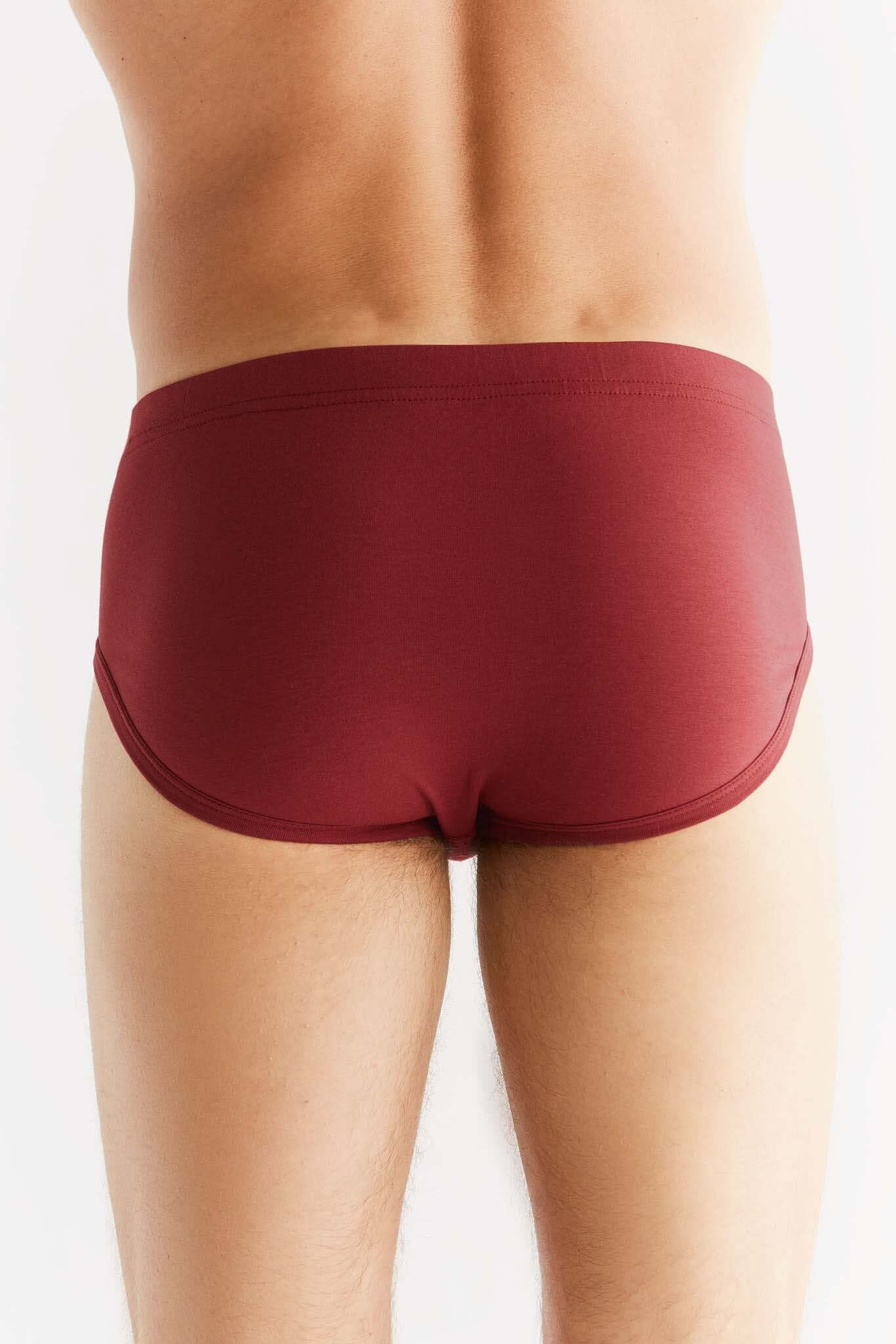 Organic Cotton Mens Slip Brief 2112-030