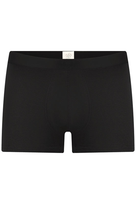 Organic Cotton Mens Boxer Brief - 2121-01