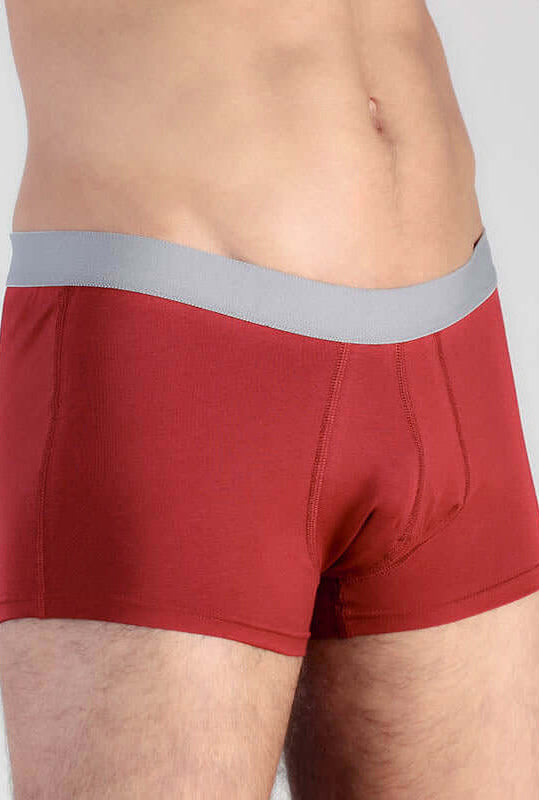 Organic Cotton Mens Boxer Brief - 2121-02