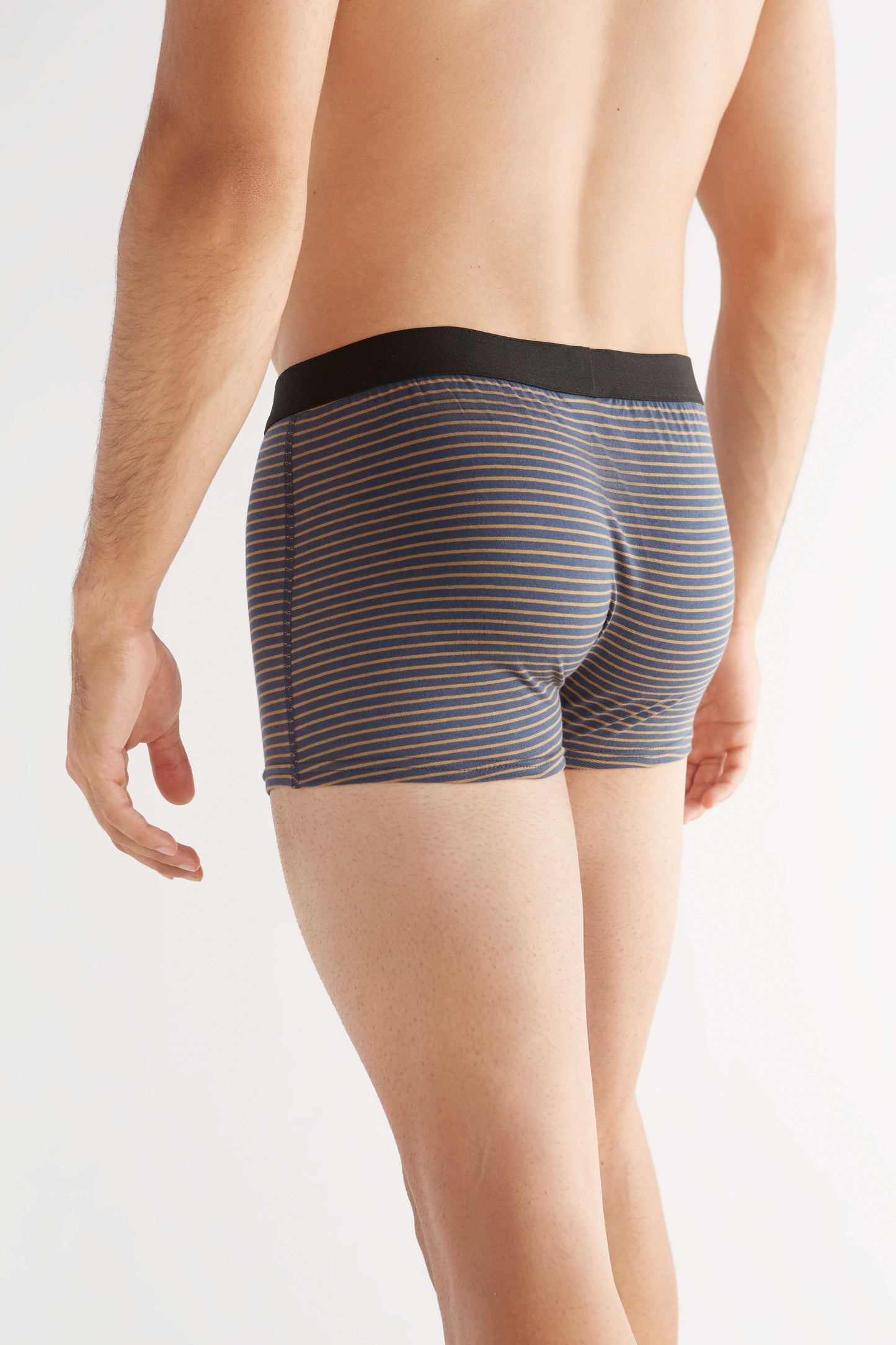 Organic Cotton Mens Boxer Brief - 2121-055