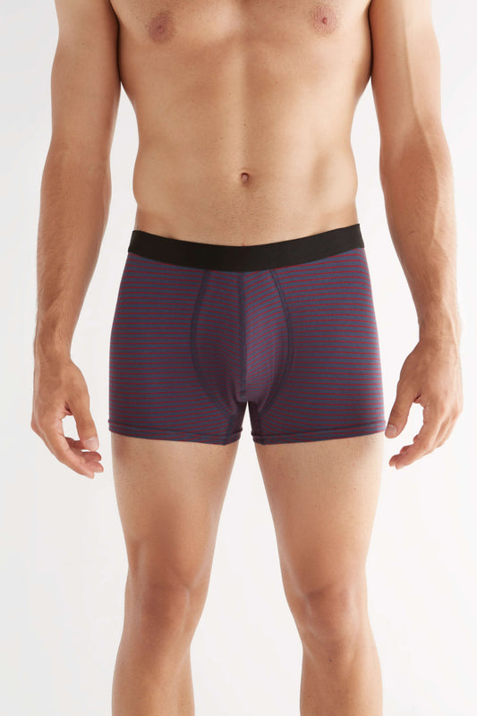 Organic Cotton Mens Boxer Brief - 2121-056