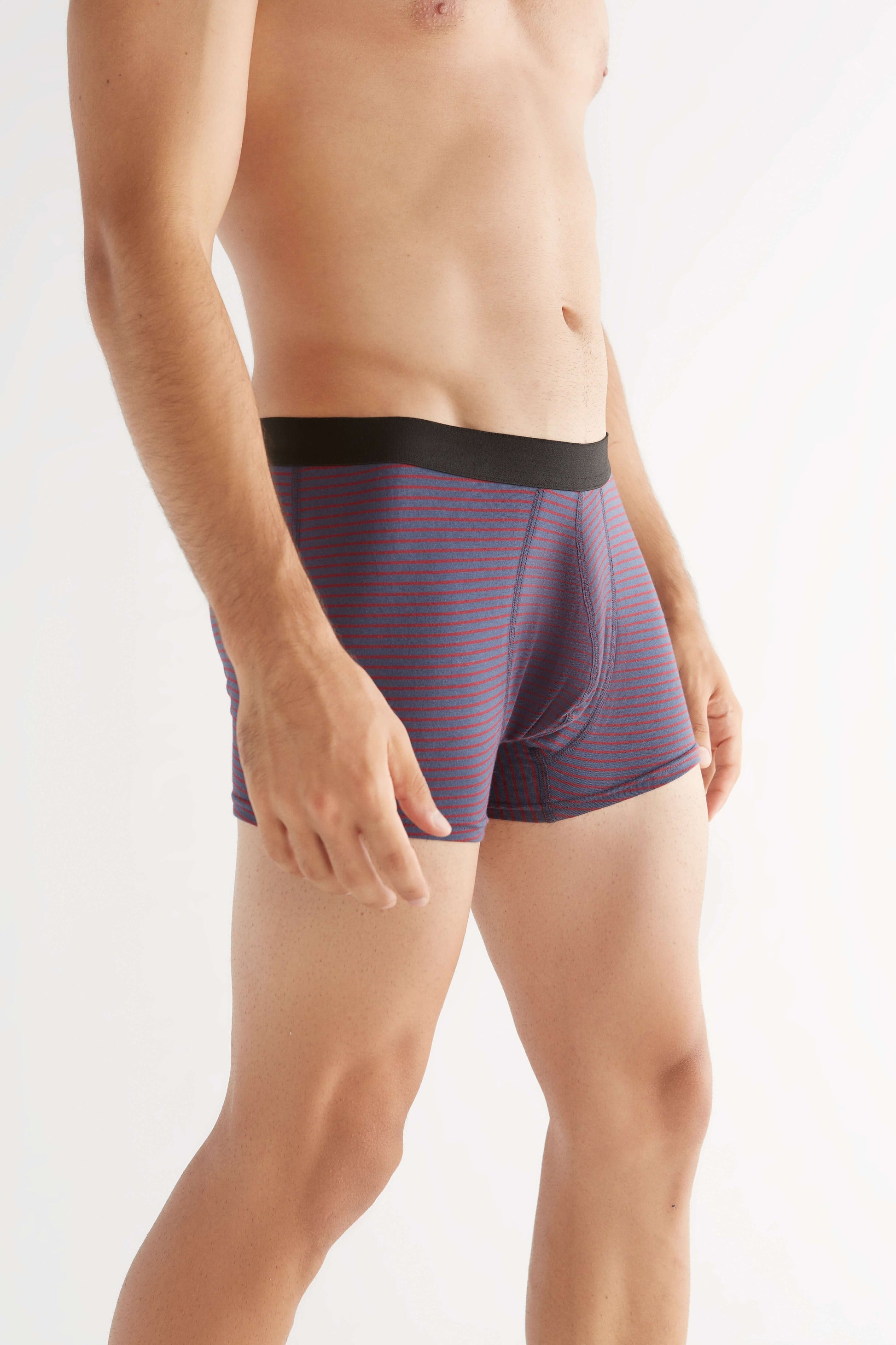 Organic Cotton Mens Boxer Brief - 2121-056