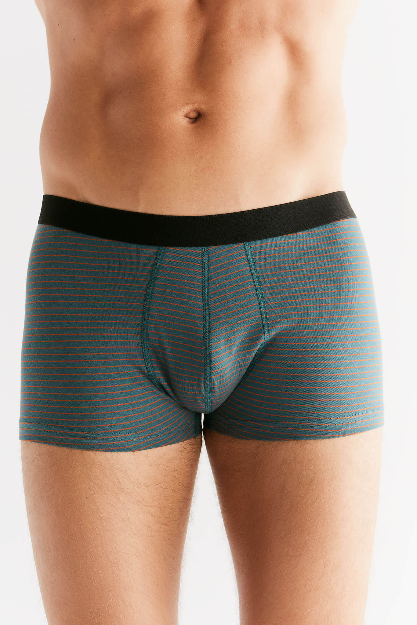 Organic Cotton Mens Boxer Brief - 2121-064