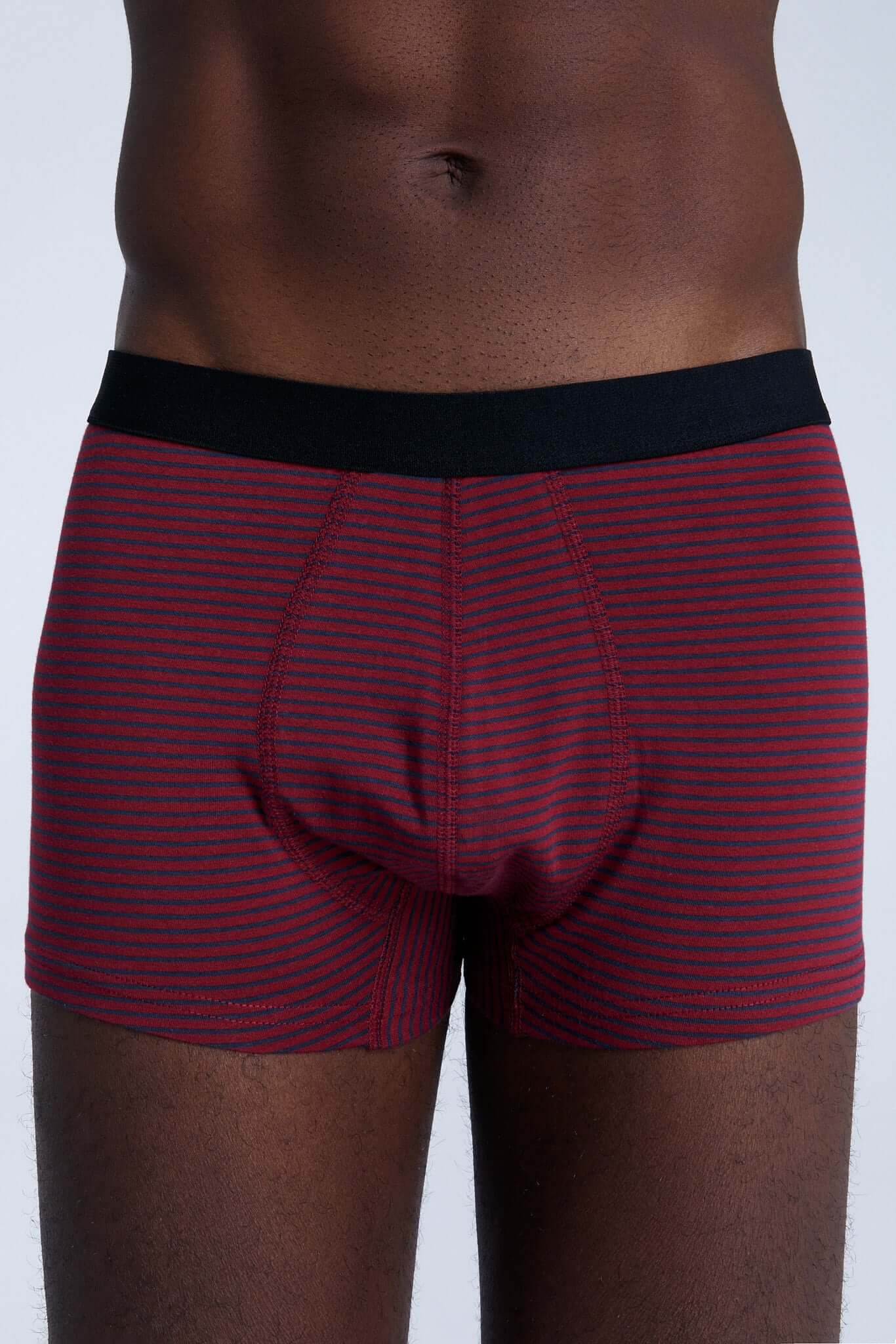 Organic Cotton Mens Boxer Brief - 2121-081