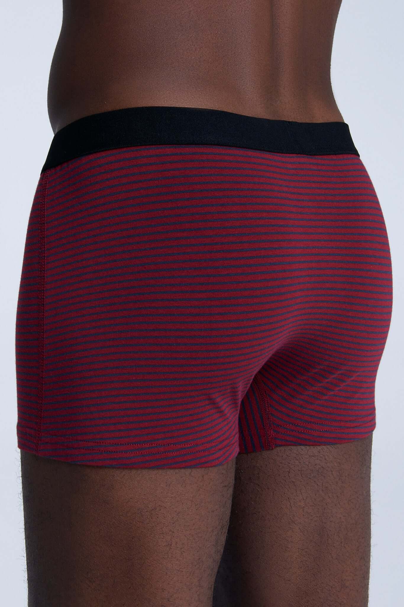 Organic Cotton Mens Boxer Brief - 2121-081