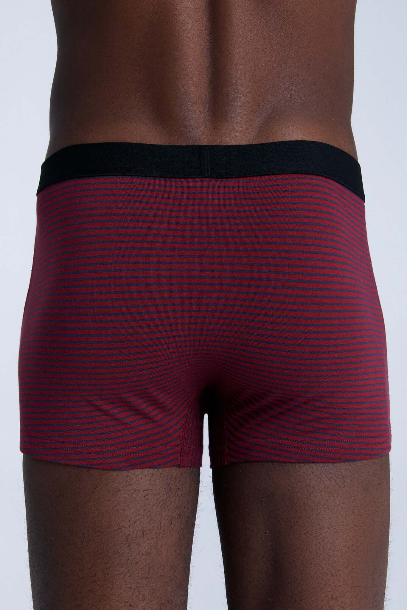 Organic Cotton Mens Boxer Brief - 2121-081