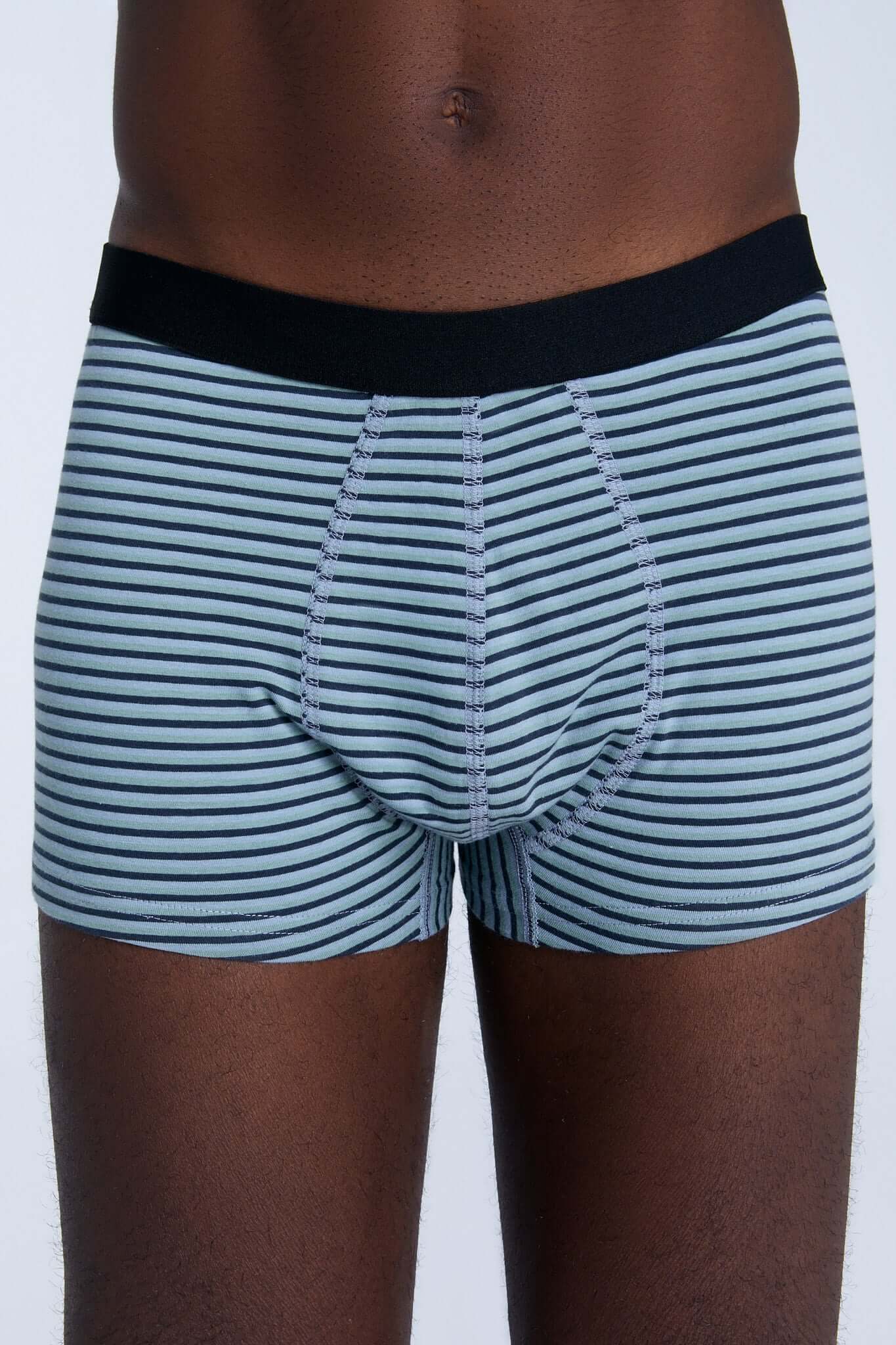 Organic Cotton Mens Boxer Brief - 2121-083