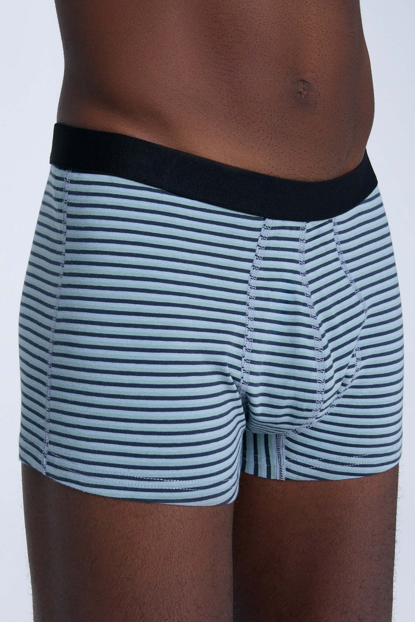 Organic Cotton Mens Boxer Brief - 2121-083