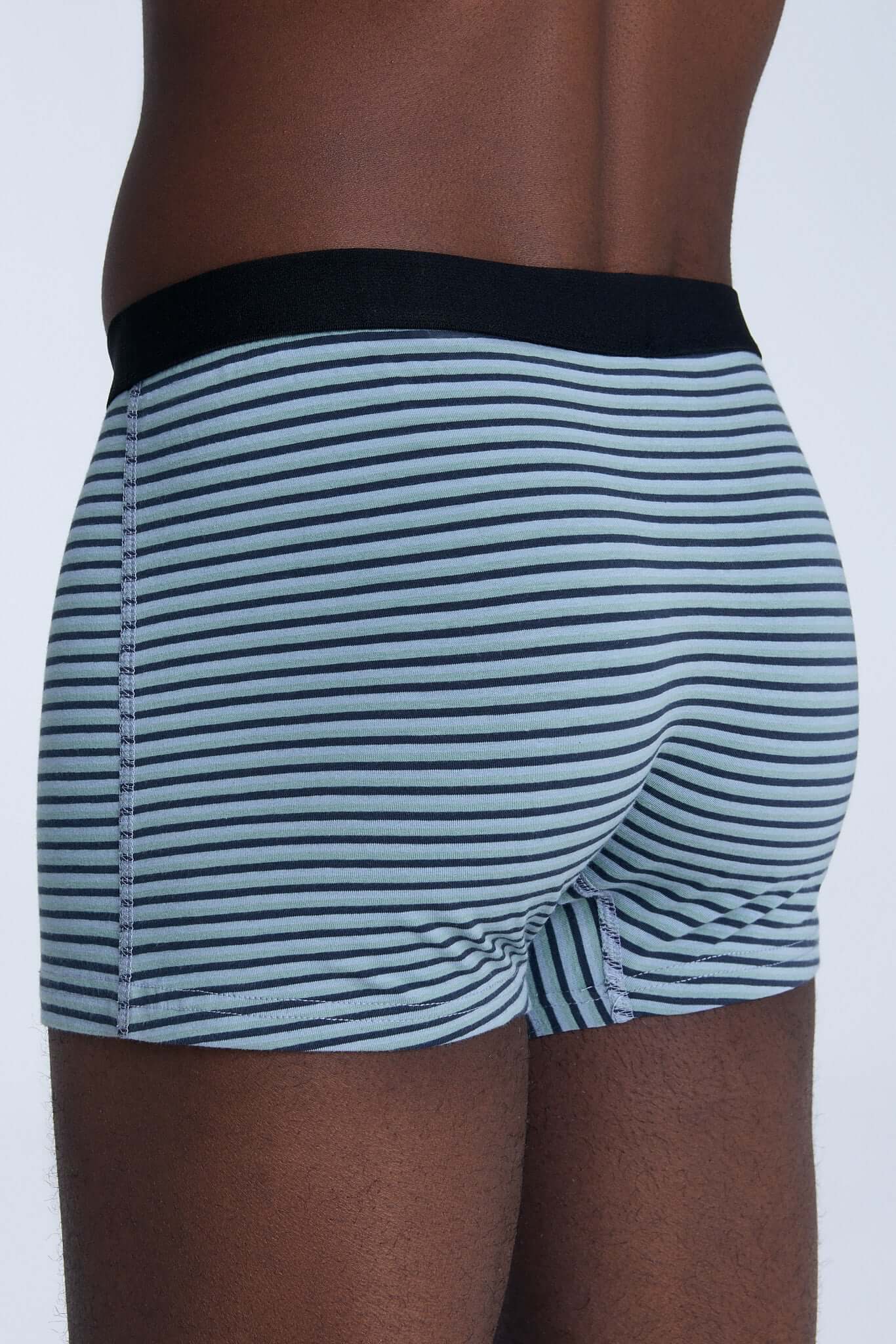 Organic Cotton Mens Boxer Brief - 2121-083