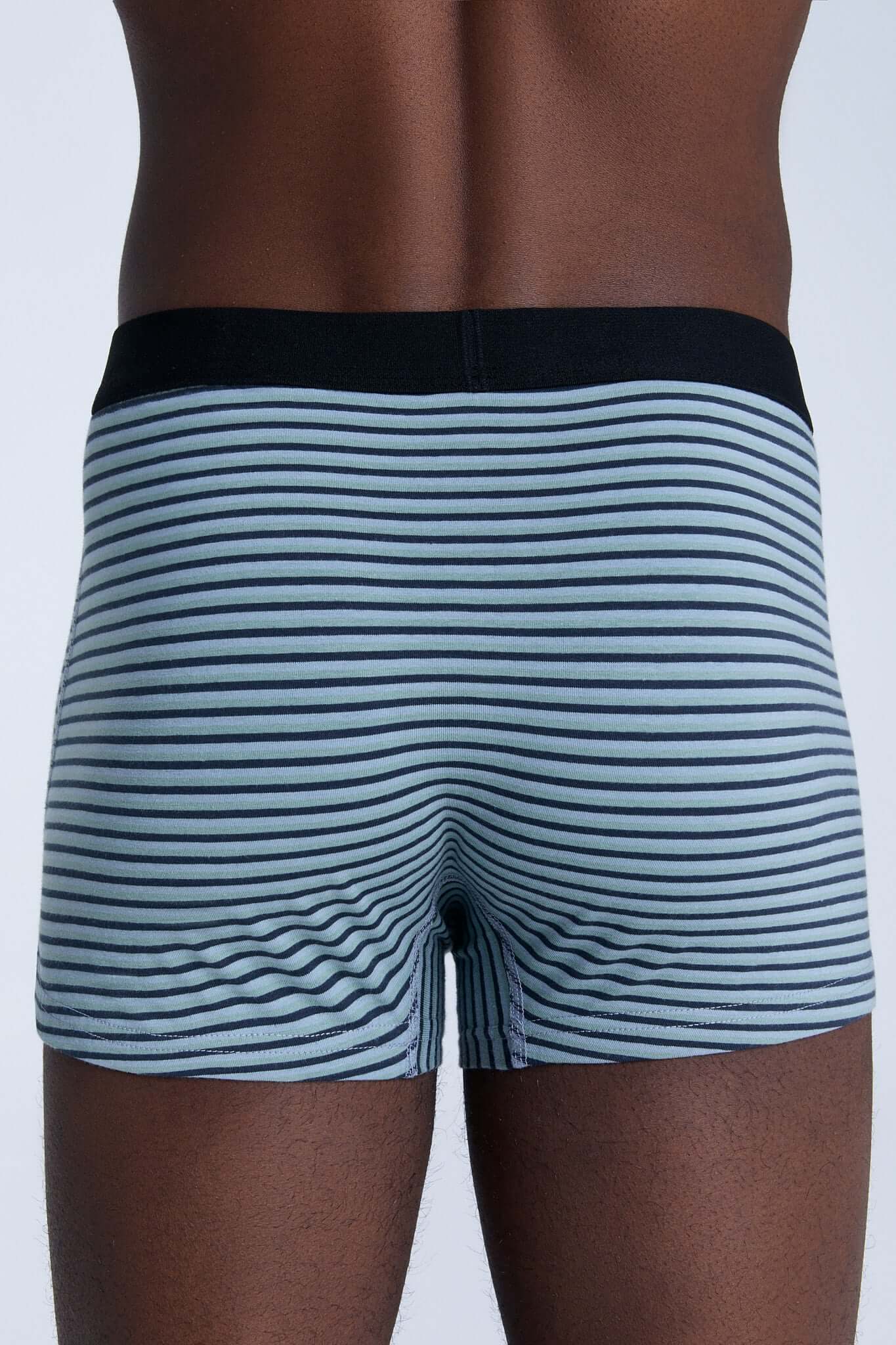 Organic Cotton Mens Boxer Brief - 2121-083