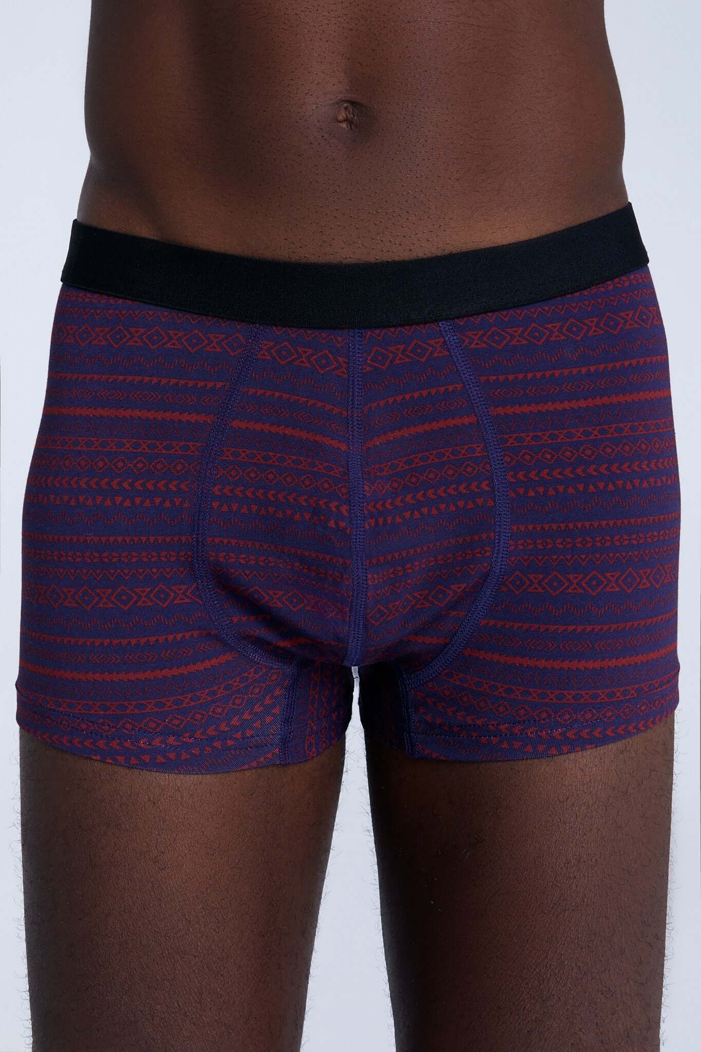 Organic Cotton Mens Boxer Brief - 2121-084