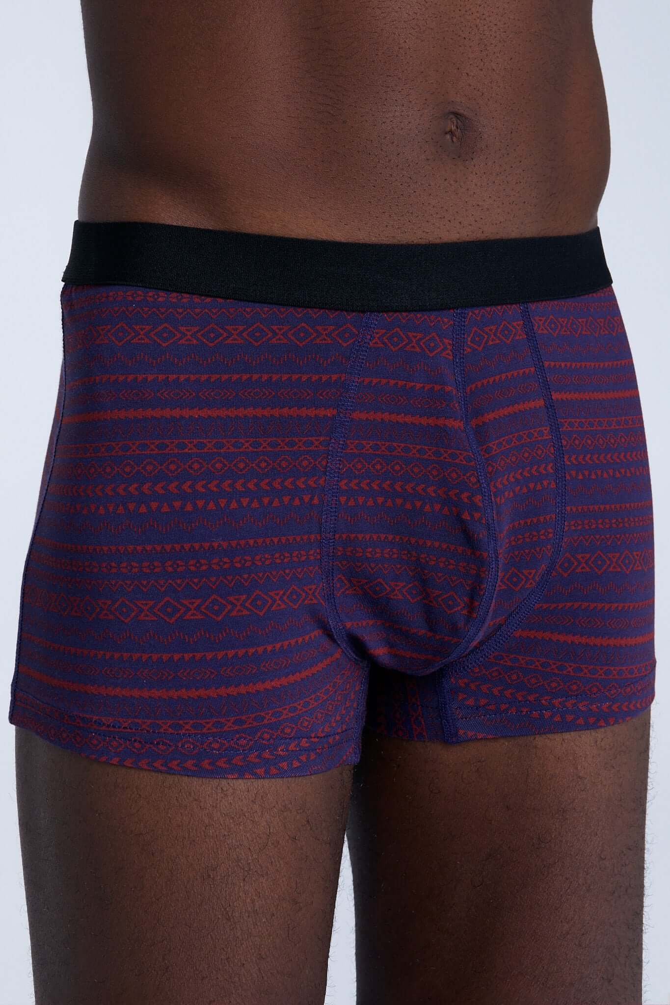 Organic Cotton Mens Boxer Brief - 2121-084