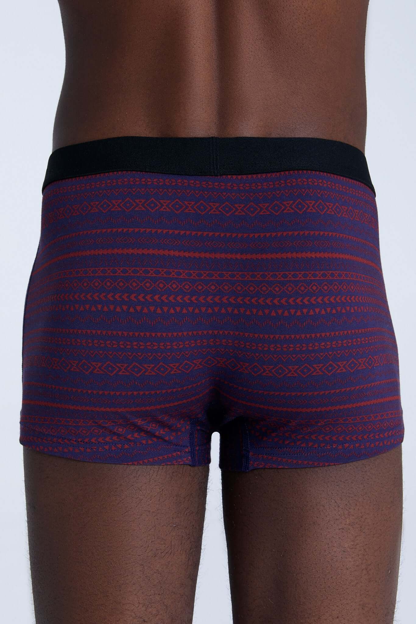 Organic Cotton Mens Boxer Brief - 2121-084