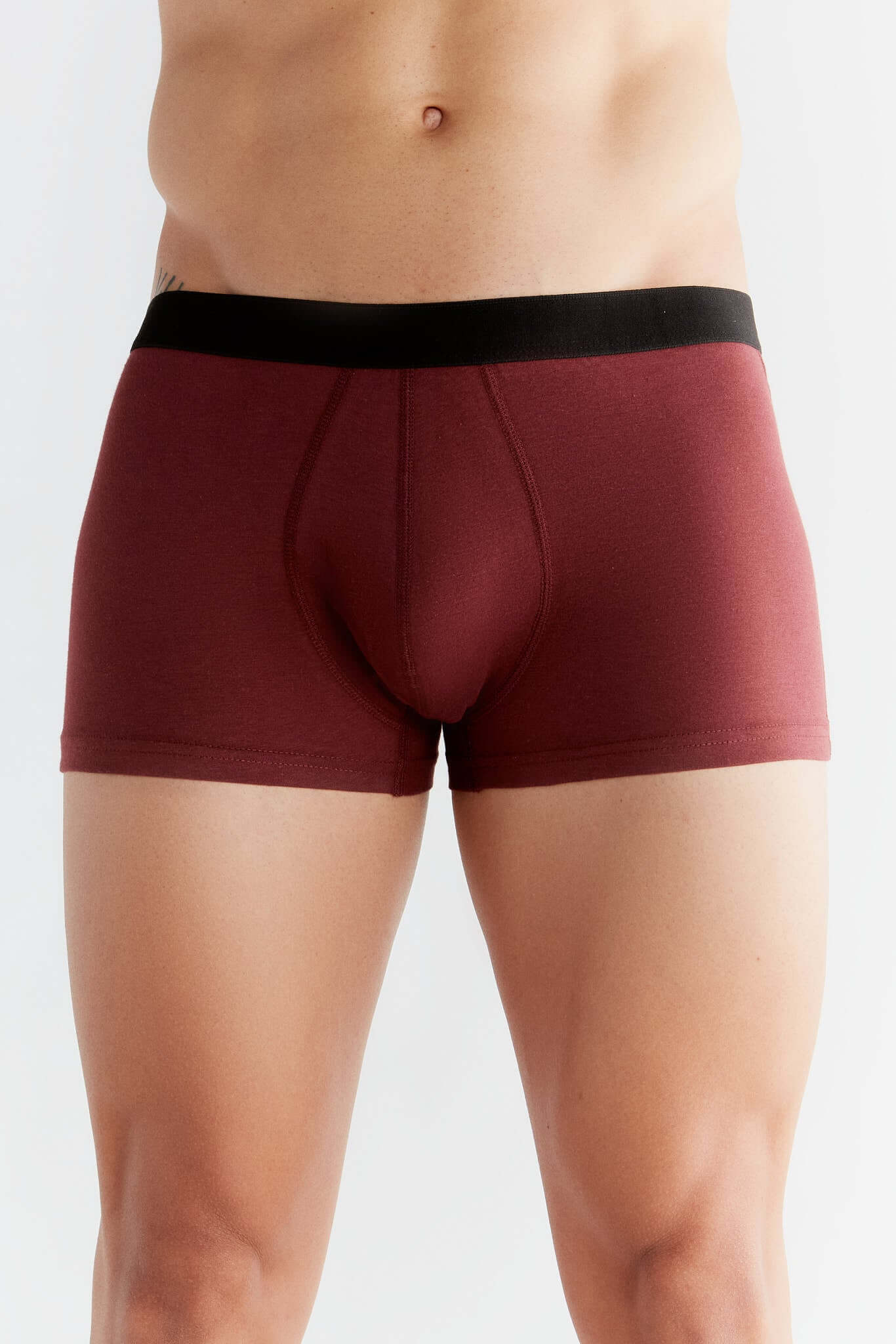 Organic Cotton Mens Boxer Brief - 2121-11