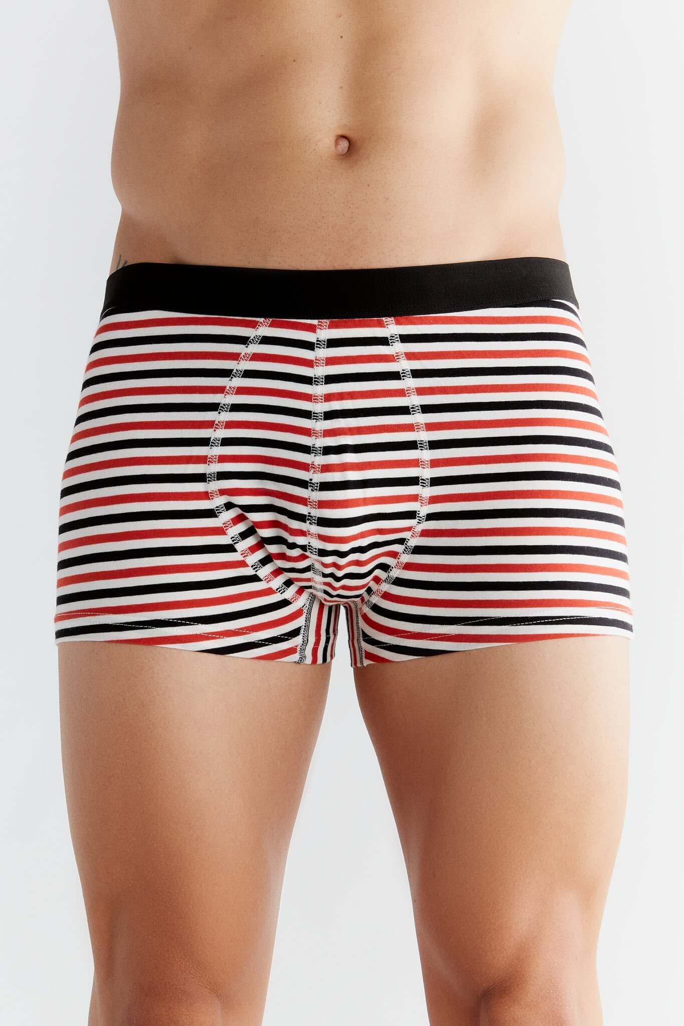 Organic Cotton Mens Boxer Brief - 2121-13